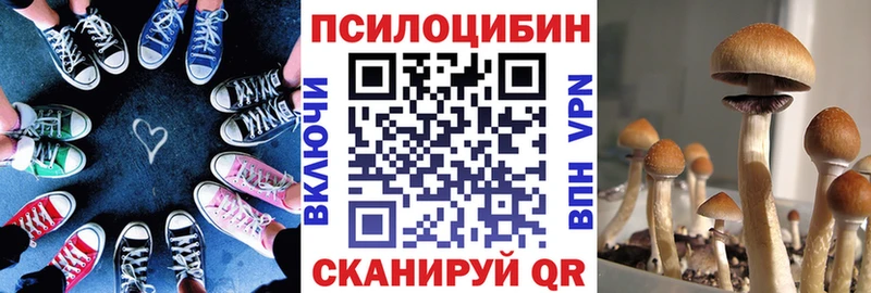 Псилоцибиновые грибы GOLDEN TEACHER Железноводск